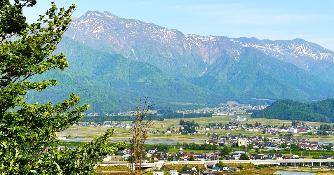 地域